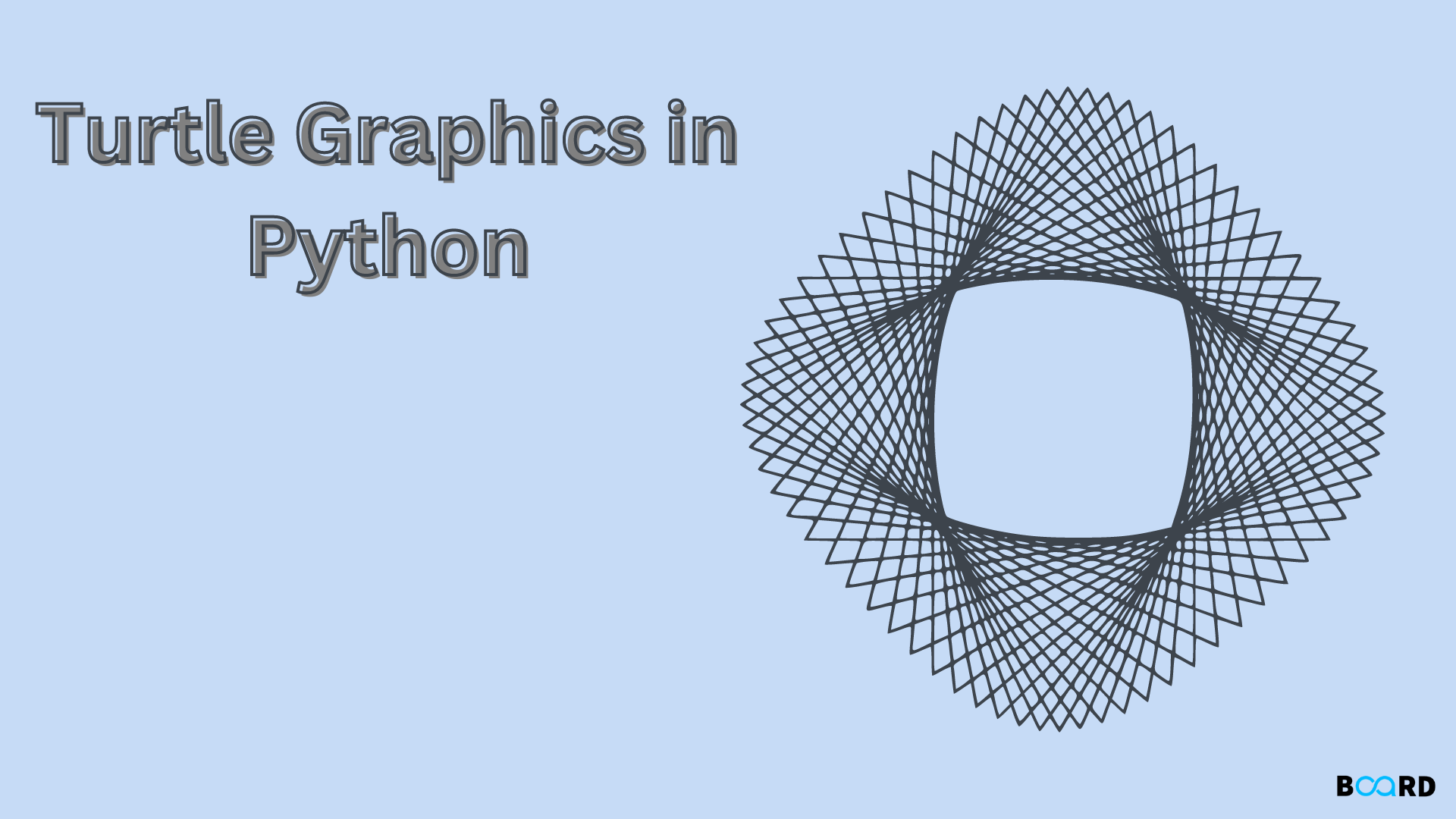 Turtle in Python Board Infinity