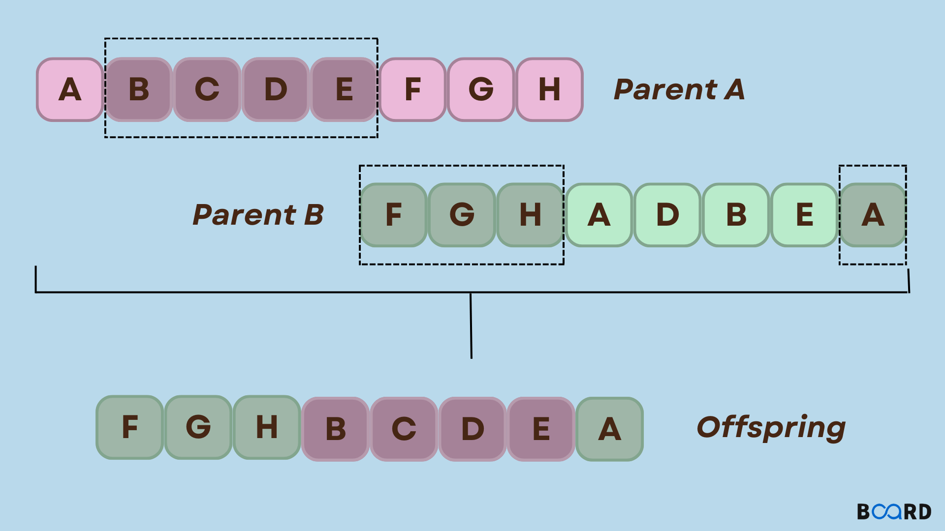 Genetic Algorithm In Machine Learning Board Infinity